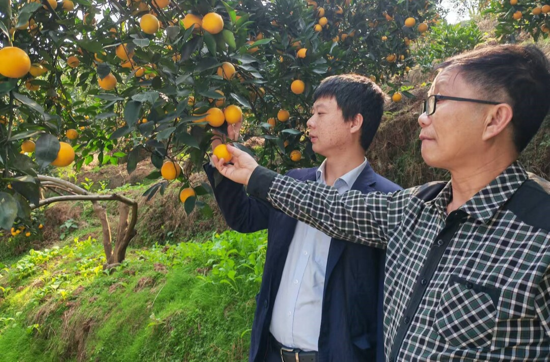 麻阳农商行：浇灌金融“活水”赋能乡村振兴