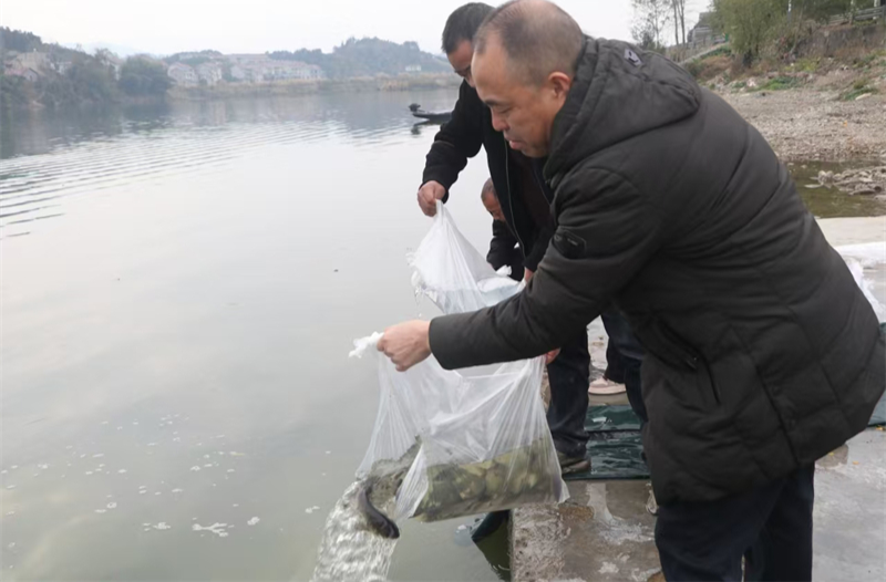 麻阳：增殖放流护生态 碧水青山共和谐