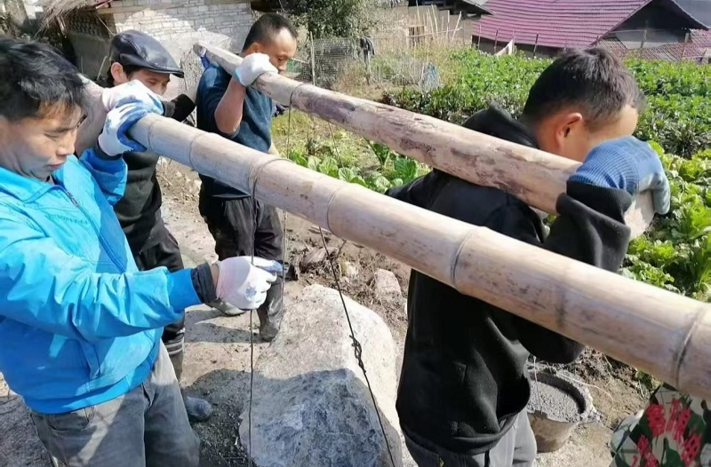 大桥江乡：返乡青年齐出力 按下新年和美乡村建设启动键