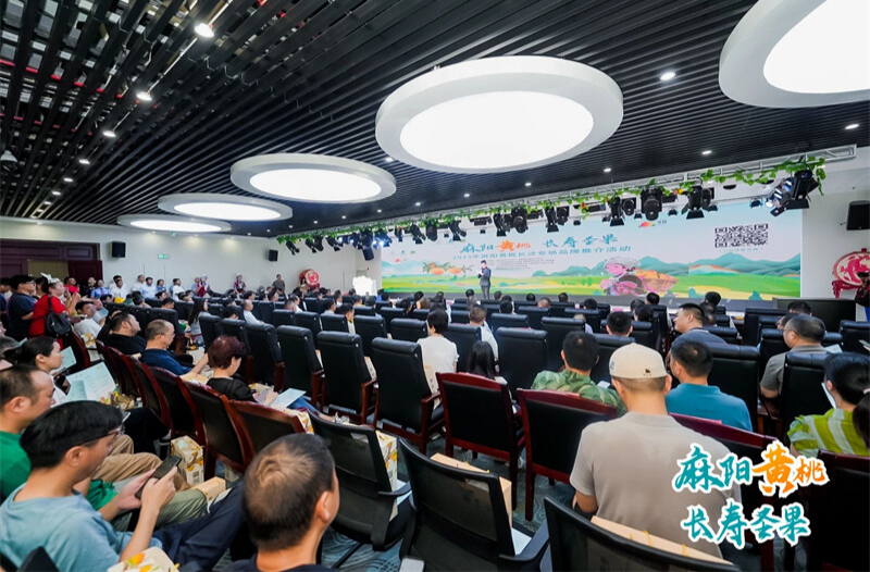 “麻陽黃桃 長壽圣果”2025年麻陽黃桃長沙專場(chǎng)品牌推介活動(dòng)舉行 簽訂黃桃購銷合同2.38萬噸