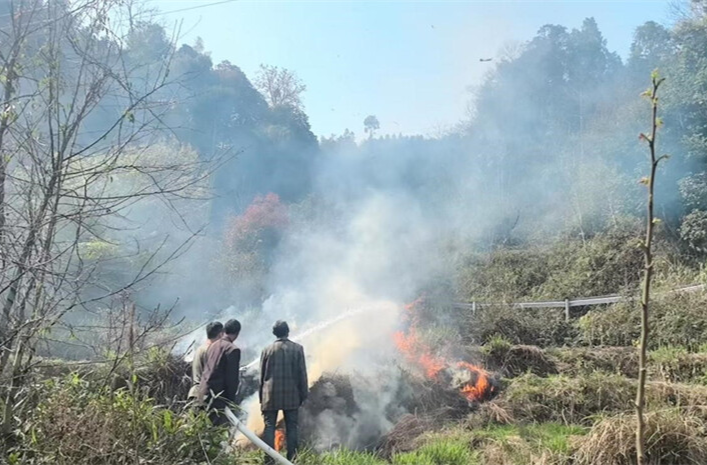 大桥江乡：理论+实操 锻造护林“铁军”守护绿色家园