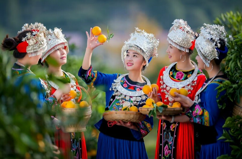 【“十四五”・答卷】太甜了！麻阳冰糖橙铺就苗乡共富路