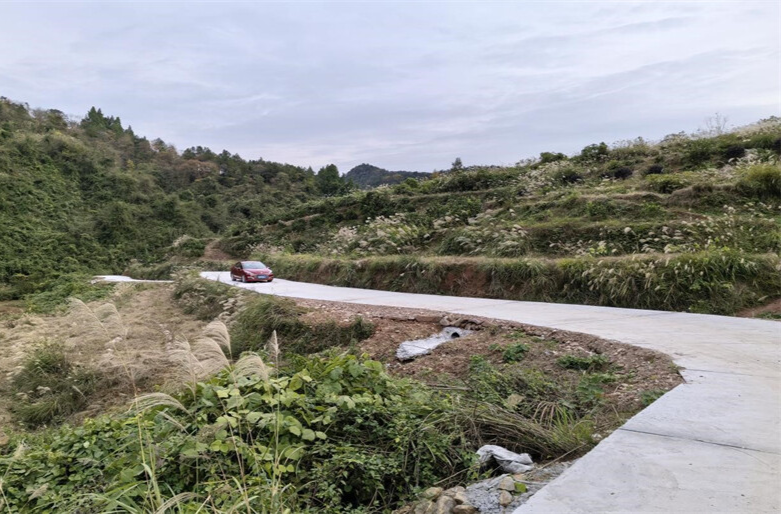 办好群众关心事，麻阳豪侠坪村用实际行动回应村民期待