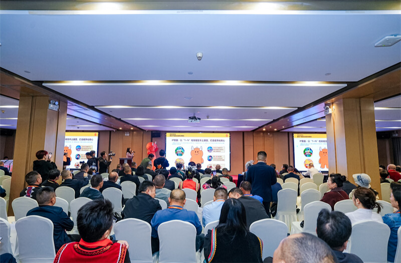 麻阳对接粤港澳大湾区结硕果  与九家企业成功签约共绘发展新蓝图