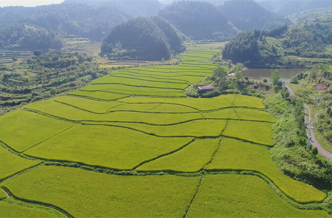 麻阳3村天然富硒地块获认证，为富硒产业发展与乡村振兴注入新动能