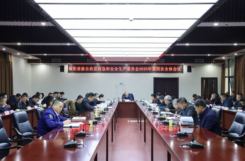 麻阳苗族自治县应急和安全生产委员会2025年第四次全体会议召开