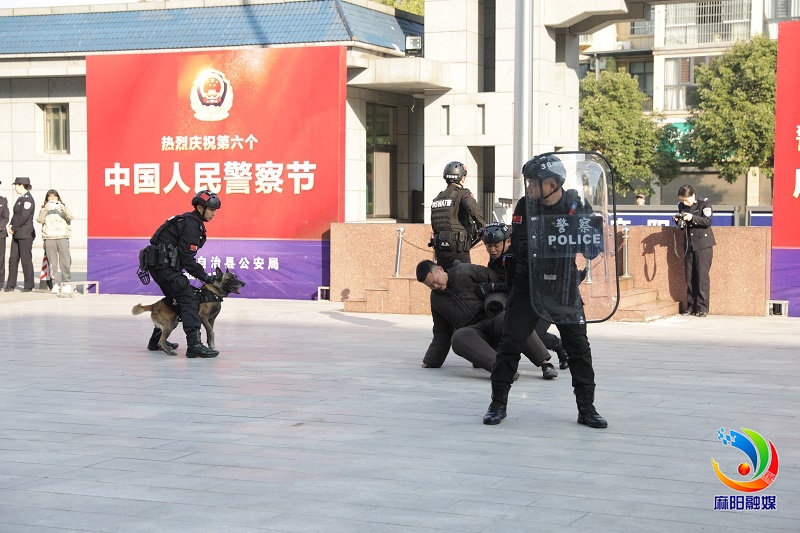 麻阳公安局举行警营开放日活动