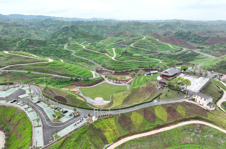 麻阳橙香园：3000亩示范园启新程绘新图