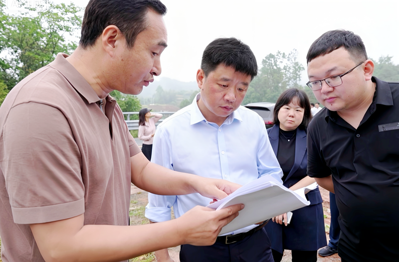 江涛到尧市镇调研安全生产、柑橘苗圃建设、云下粮仓及山泉水一体化项目建设等工作