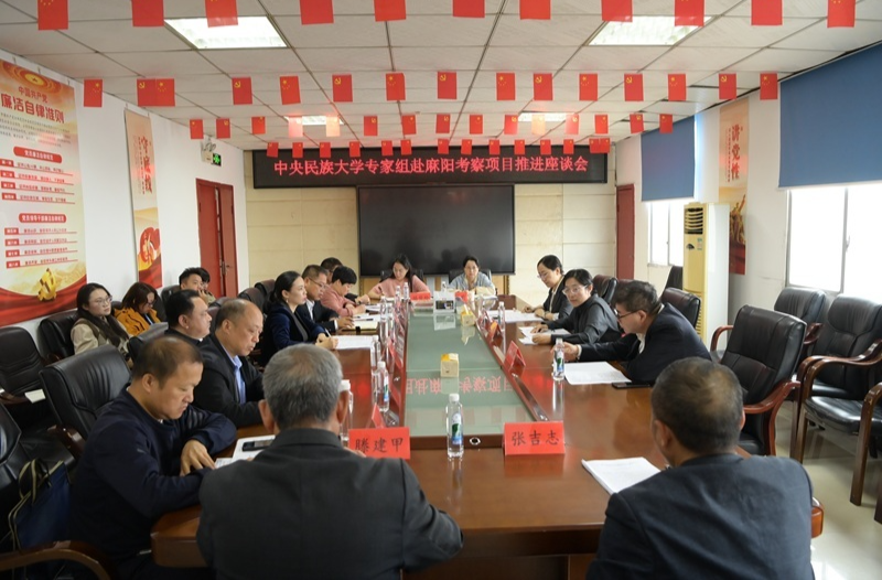 中央民族大学专家组赴麻阳考察调研 共商苗医药项目高质量发展