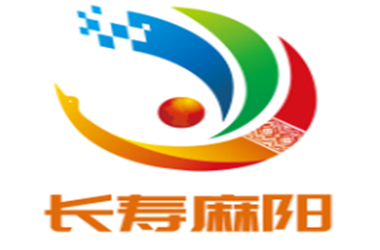 【两会时刻】人大代表访谈：聚焦七大行动 共绘发展新图景